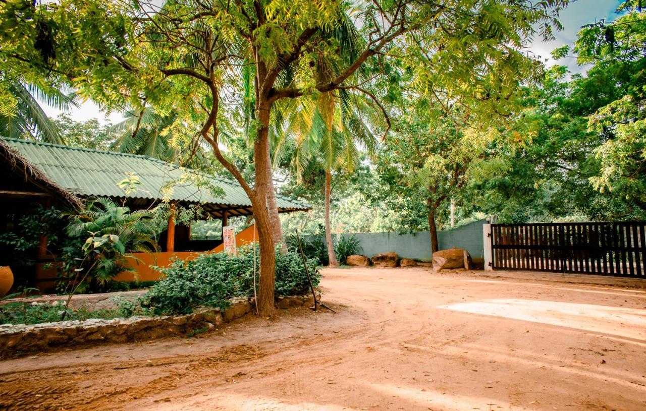 Sarada Beach Resort Yala 티사마하라마 외부 사진