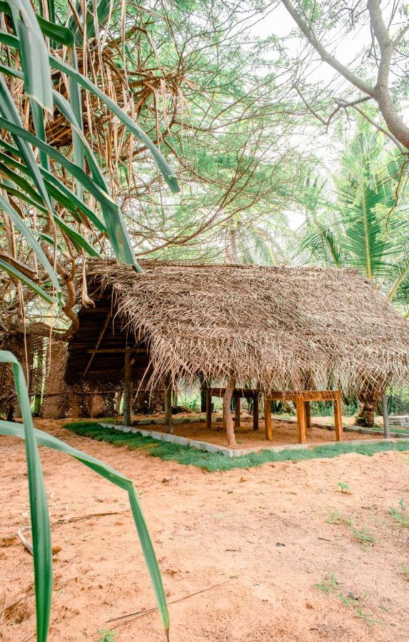 Sarada Beach Resort Yala 티사마하라마 외부 사진