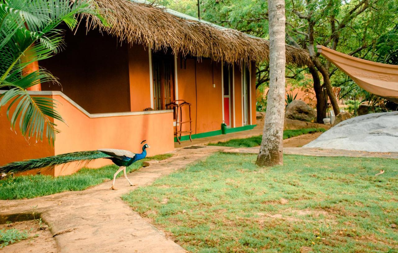 Sarada Beach Resort Yala 티사마하라마 외부 사진